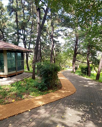 산책로.등산로 야자매트-친환경 등산로매트.산책로매트